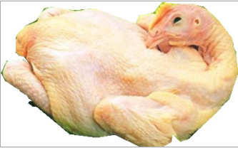 冰鮮湛江雞 約2斤/隻