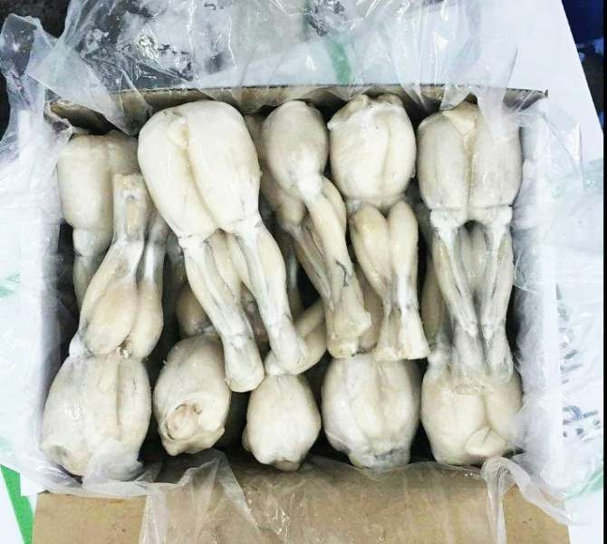 越南 急凍田雞腿 8-12隻/500克/包 | FB - C K | ProcureBear